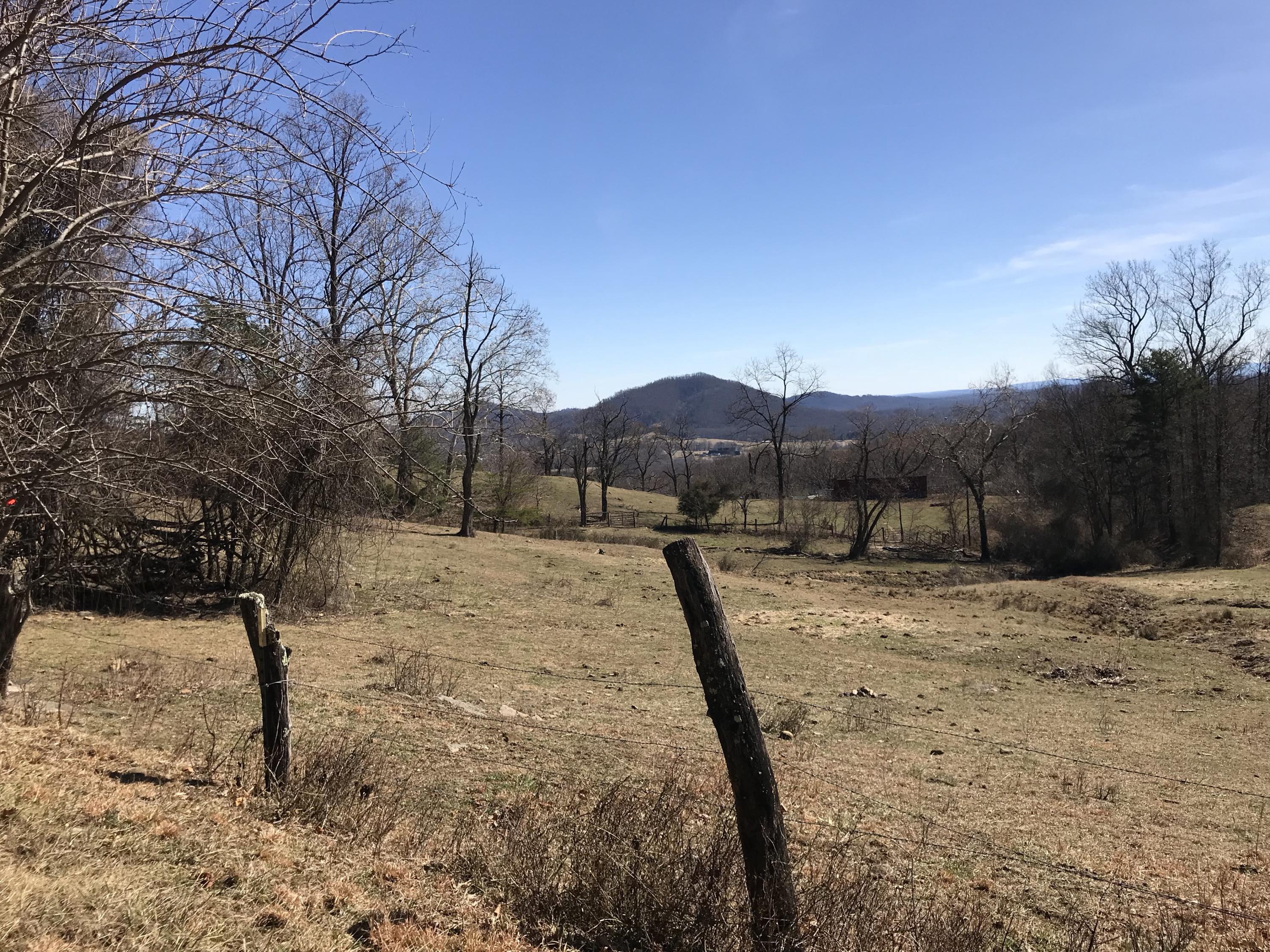 0 Tulagi Road Vinton, VA 24179 - Photo 8 of 9 IMG_6230