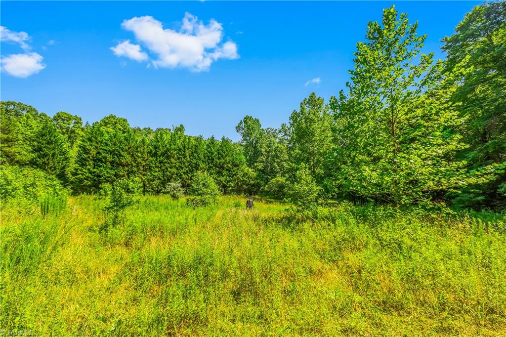 0 Mills Road Mount Airy, NC 27030 - Photo 11 of 30