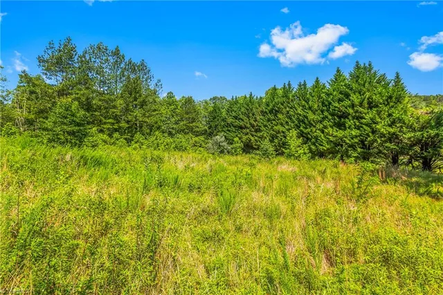 $90,000 | 0 Mills Road, Mount Airy, NC 27030