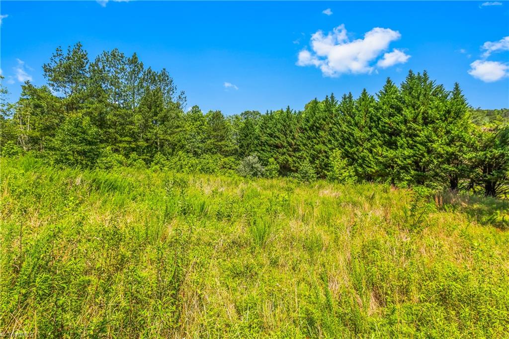 0 Mills Road Mount Airy, NC 27030 - Photo 12 of 30