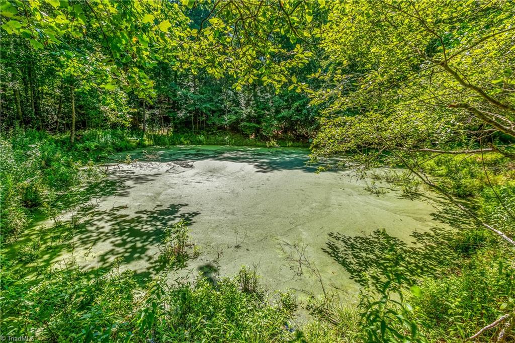 0 Mills Road Mount Airy, NC 27030 - Photo 13 of 30