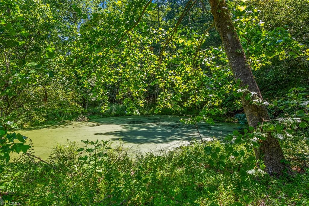 0 Mills Road Mount Airy, NC 27030 - Photo 14 of 30