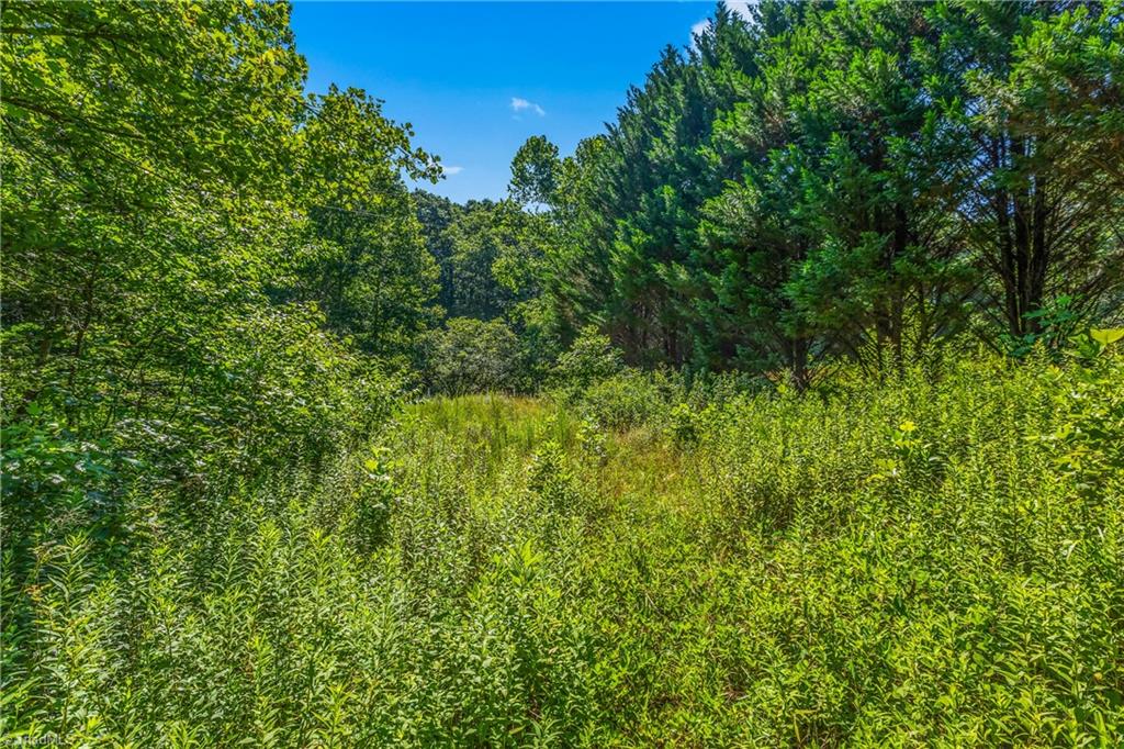 0 Mills Road Mount Airy, NC 27030 - Photo 16 of 30