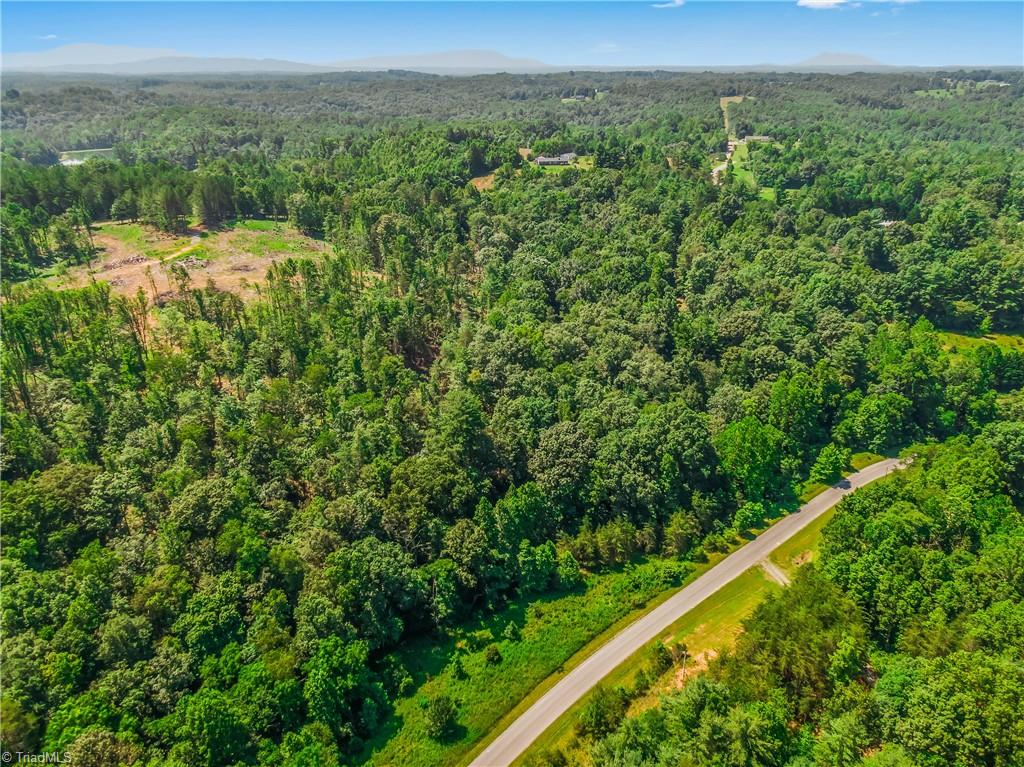 0 Mills Road Mount Airy, NC 27030 - Photo 2 of 30