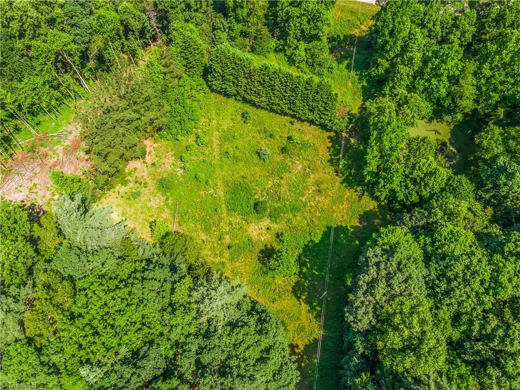 0 Mills Road Mount Airy, NC 27030 - Photo 21 of 30