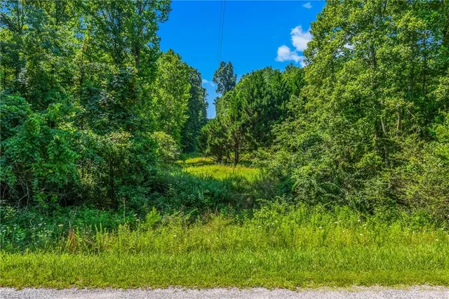 $90,000 | 0 Mills Road, Mount Airy, NC 27030