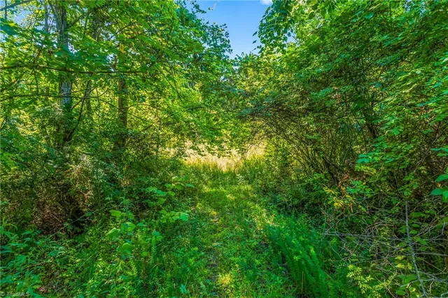 $90,000 | 0 Mills Road, Mount Airy, NC 27030