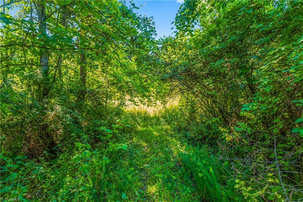 0 Mills Road Mount Airy, NC 27030 - Photo 27 of 30