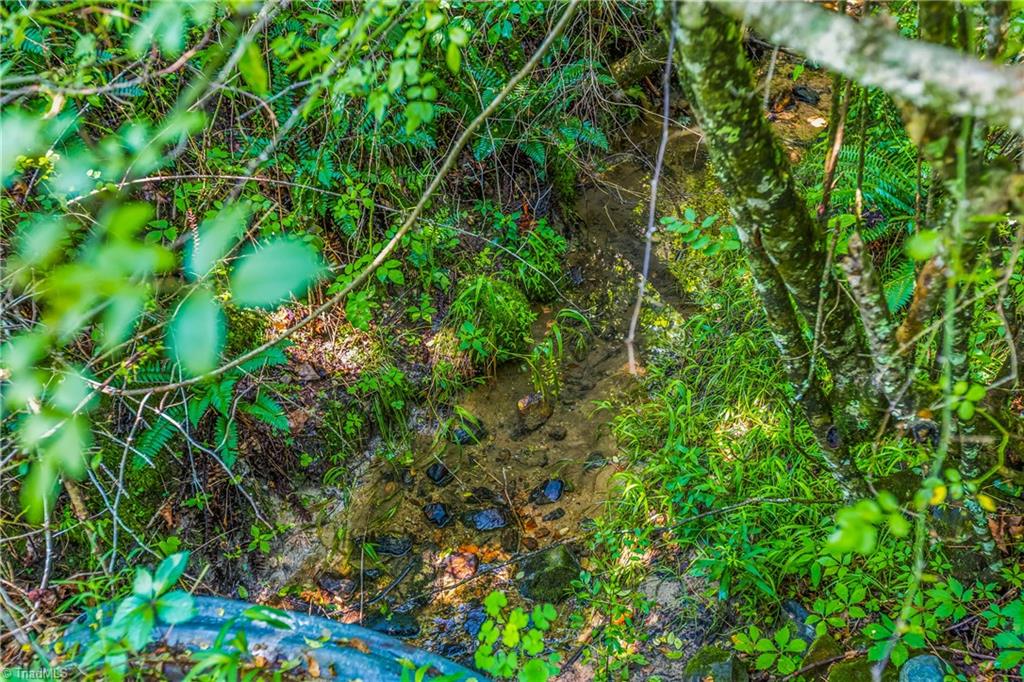 0 Mills Road Mount Airy, NC 27030 - Photo 28 of 30