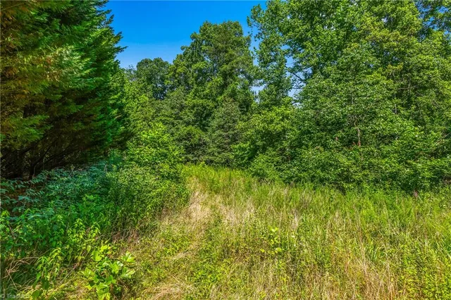 $90,000 | 0 Mills Road, Mount Airy, NC 27030