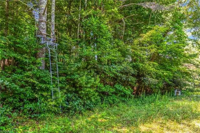 $90,000 | 0 Mills Road, Mount Airy, NC 27030