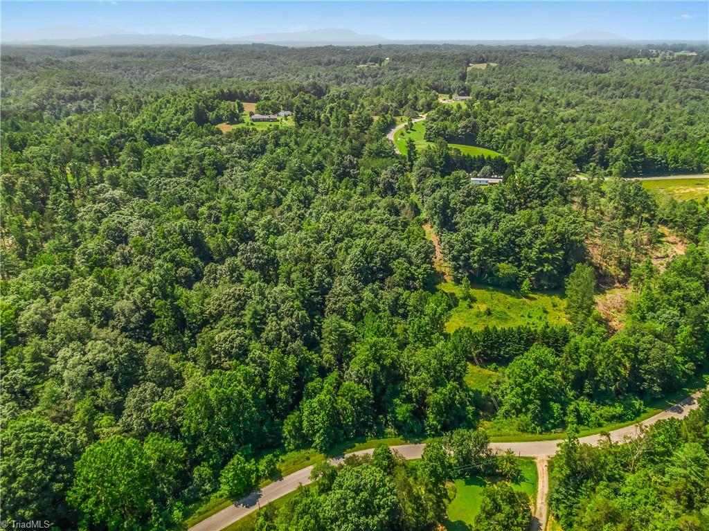 0 Mills Road Mount Airy, NC 27030 - Photo 3 of 30