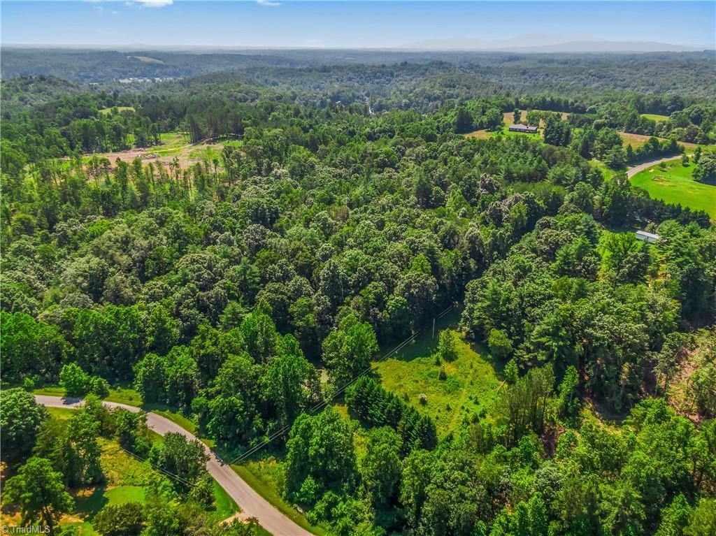 0 Mills Road Mount Airy, NC 27030 - Photo 4 of 30