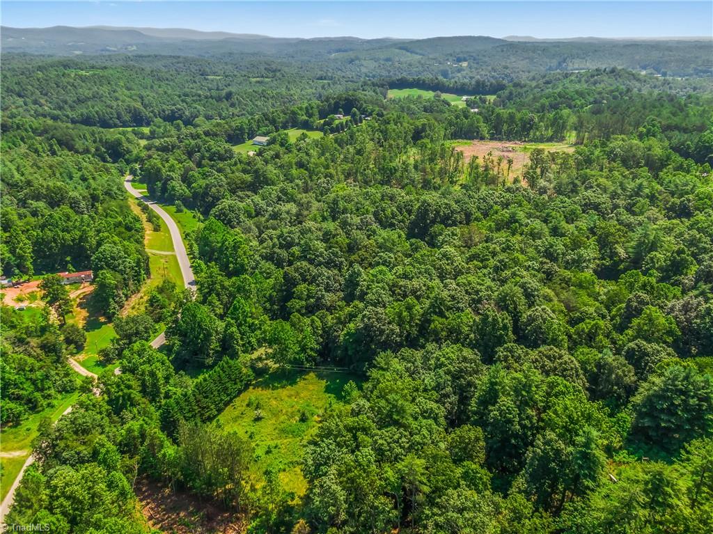 0 Mills Road Mount Airy, NC 27030 - Photo 7 of 30