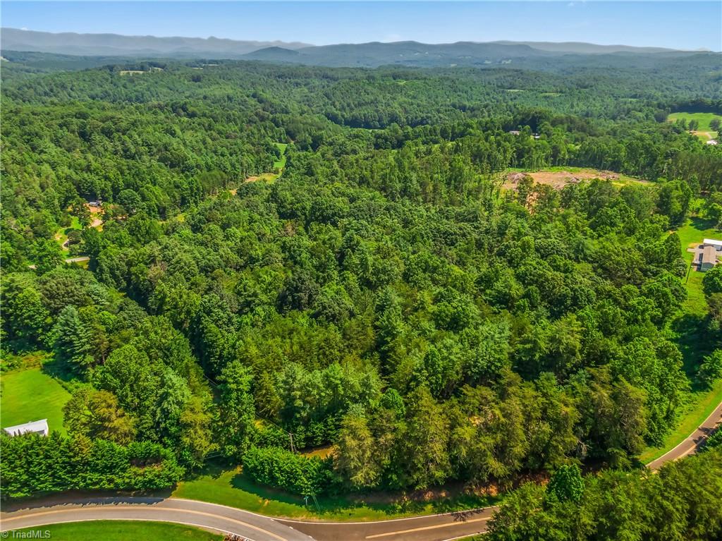 0 Mills Road Mount Airy, NC 27030 - Photo 8 of 30