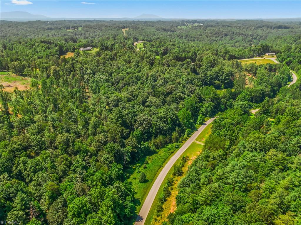 0 Mills Road Mount Airy, NC 27030 - Photo 10 of 30