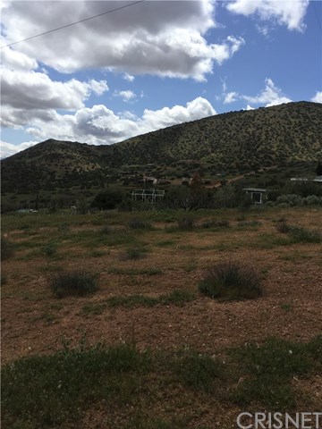 0 Rebel Road Acton, CA 93510 - Photo 4 of 6