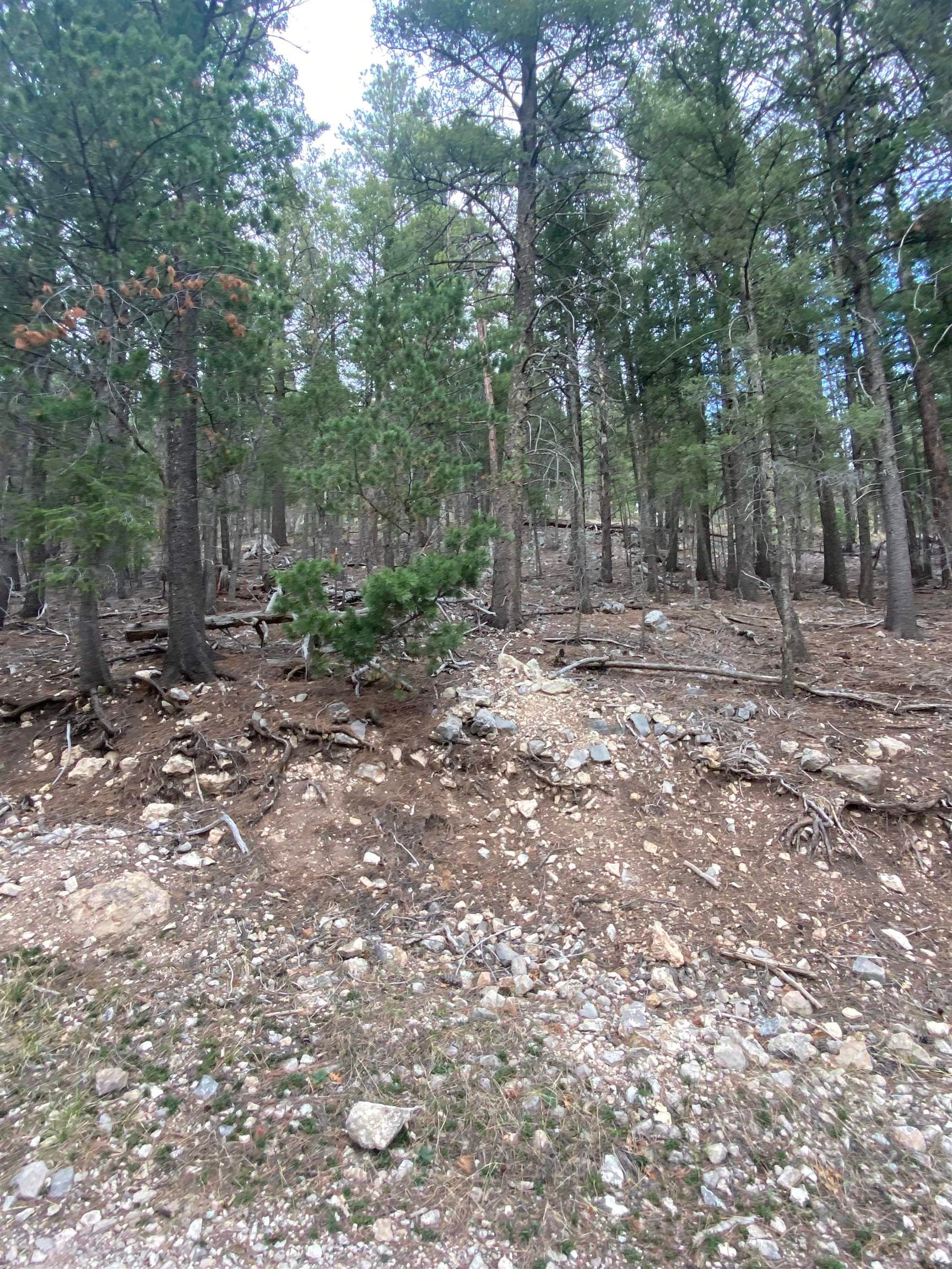 5 Forest View Road Cloudcroft, NM 88317 - Photo 2 of 4 Gallery Image 2