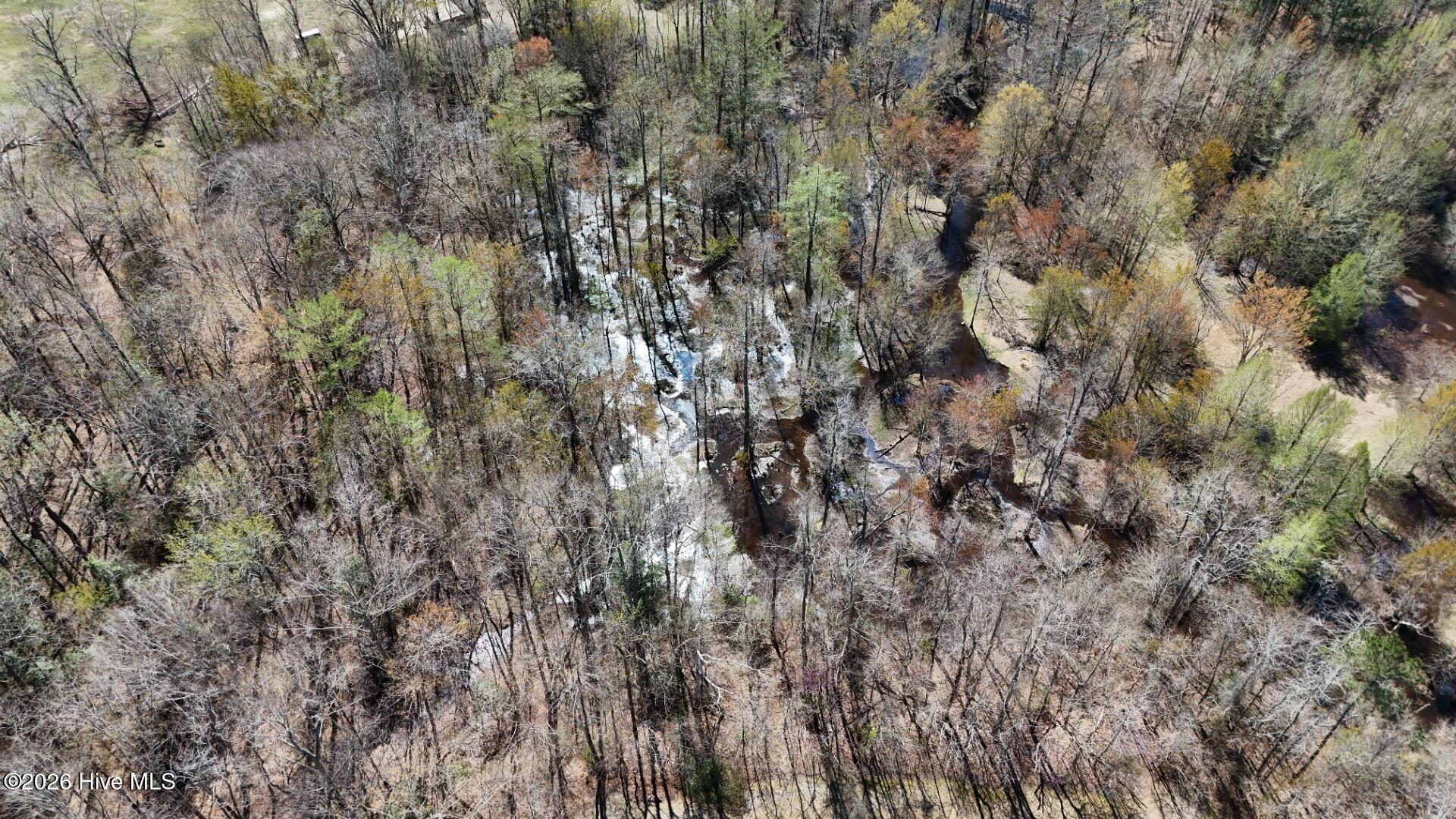 1185 Watercress Road Williamston, NC 27892 - Photo 13 of 18