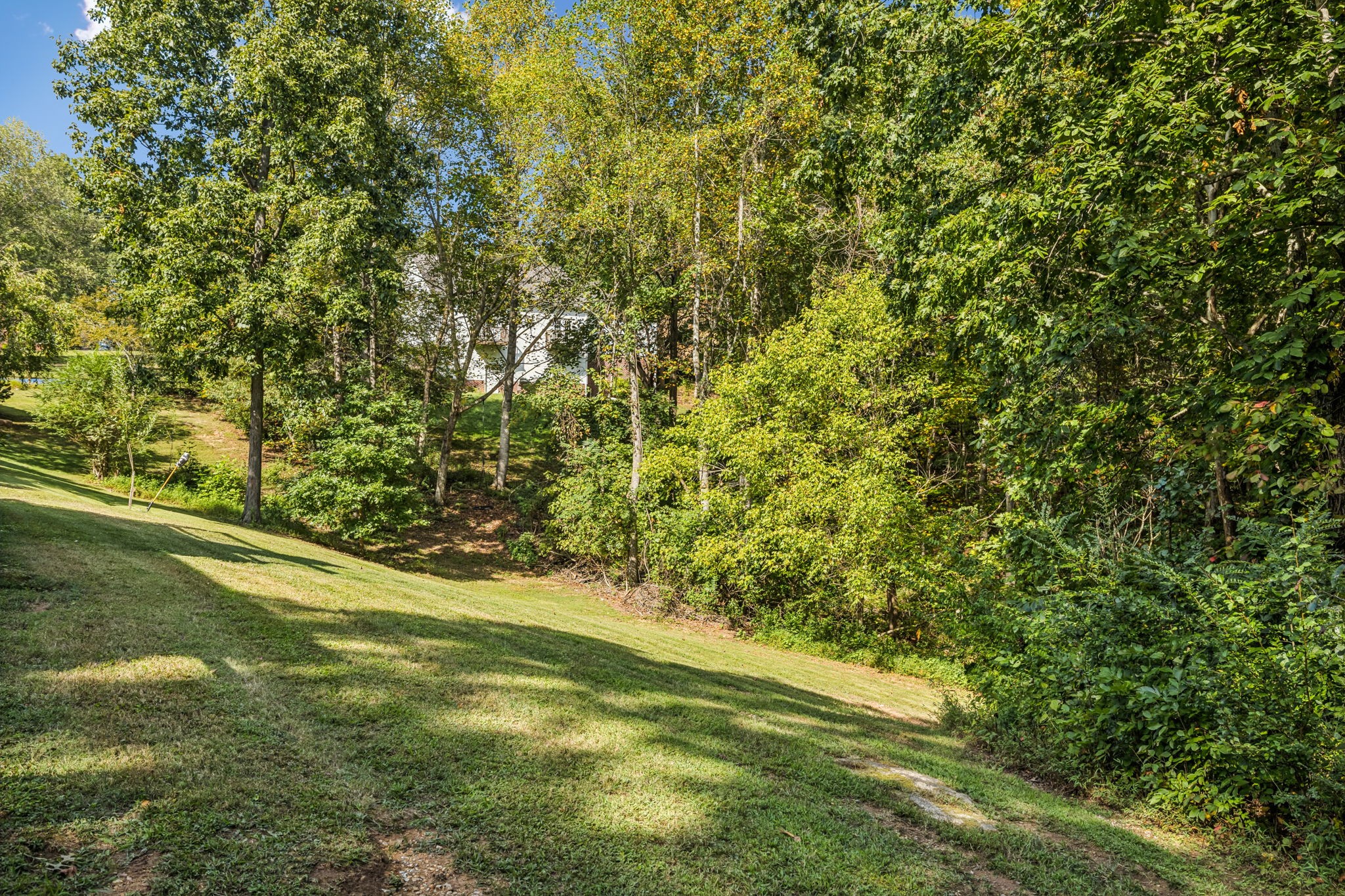 7608 Aubrey Ridge Court Fairview, TN 37062 - Photo 31 of 32 a view of a yard with a trees