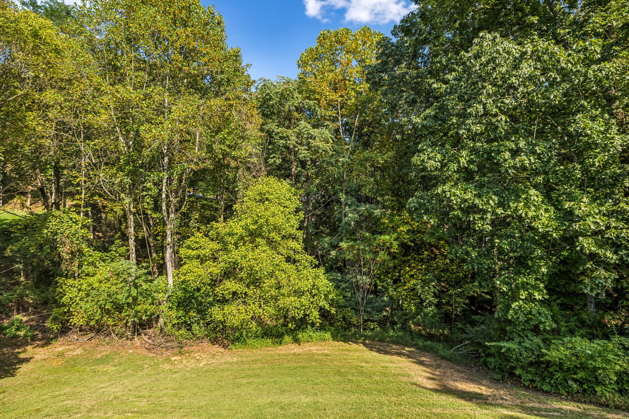 7608 Aubrey Ridge Court Fairview, TN 37062 - Photo 32 of 32 a view of a yard with a tree