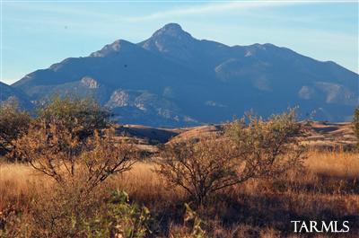 Ranch Road, Unit WEST Patagonia, AZ 85624 - Photo 15 of 15