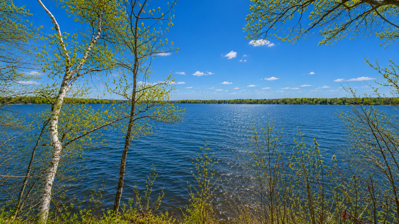 2093 Timber Ridge Lane Mora, MN 55051 - Photo 8 of 24