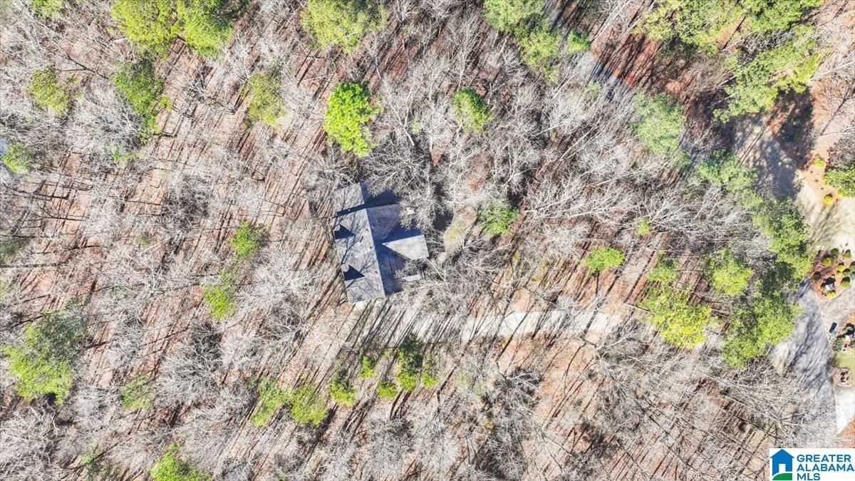 109 Hunset Mill Lane Pelham, AL 35124 - Photo 47 of 58