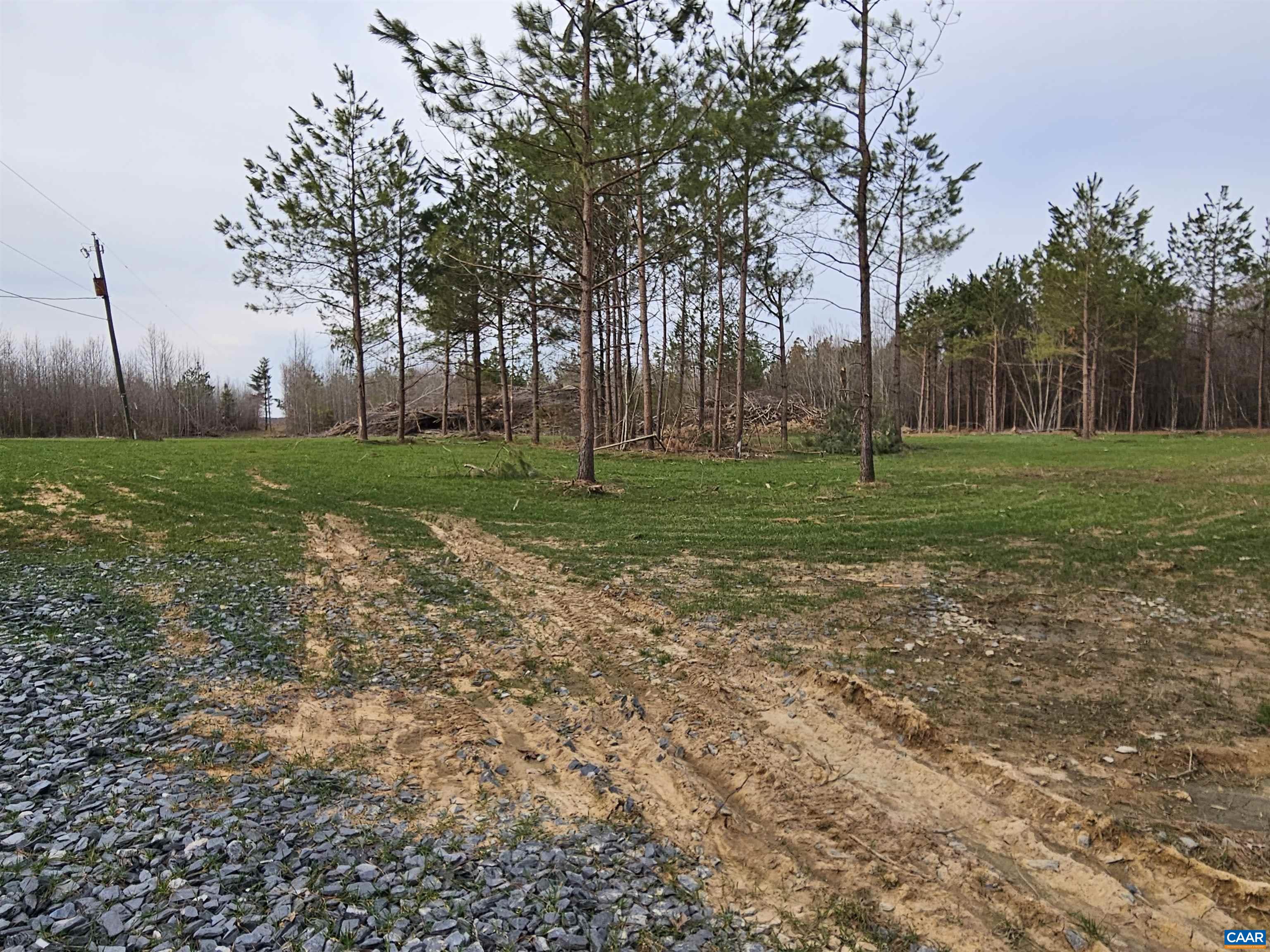 0 Salem Church Road Dillwyn, VA 23936 - Photo 11 of 11 a view of a backyard with large trees