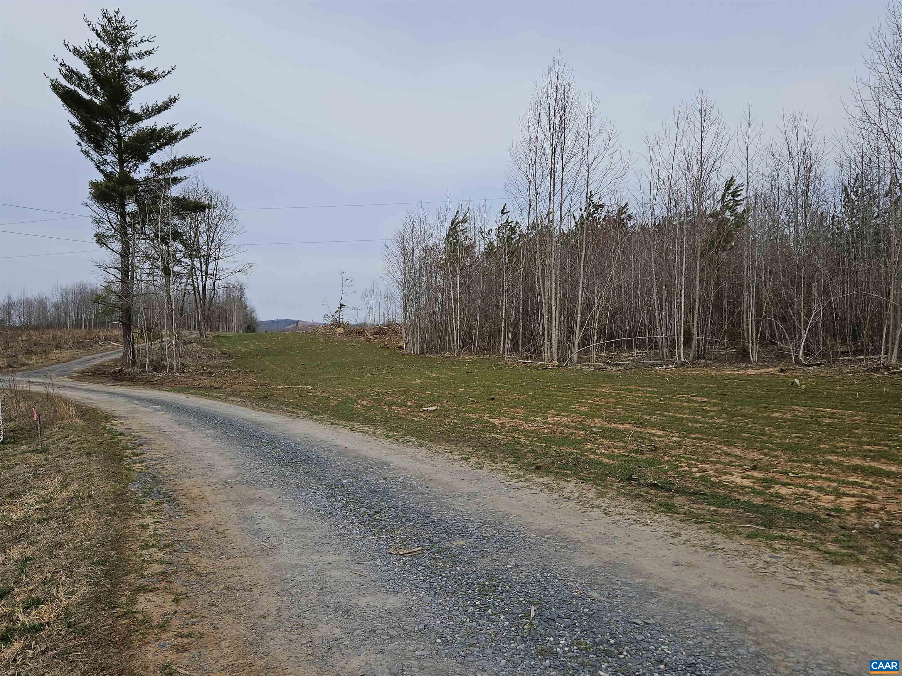 0 Salem Church Road Dillwyn, VA 23936 - Photo 5 of 11 a view of a field with trees