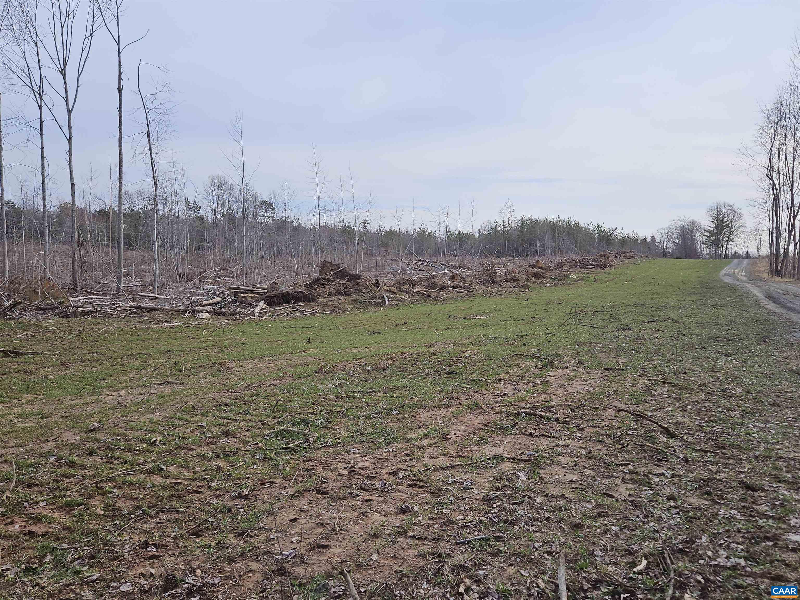 0 Salem Church Road Dillwyn, VA 23936 - Photo 10 of 11 a view of a field with an trees in the background