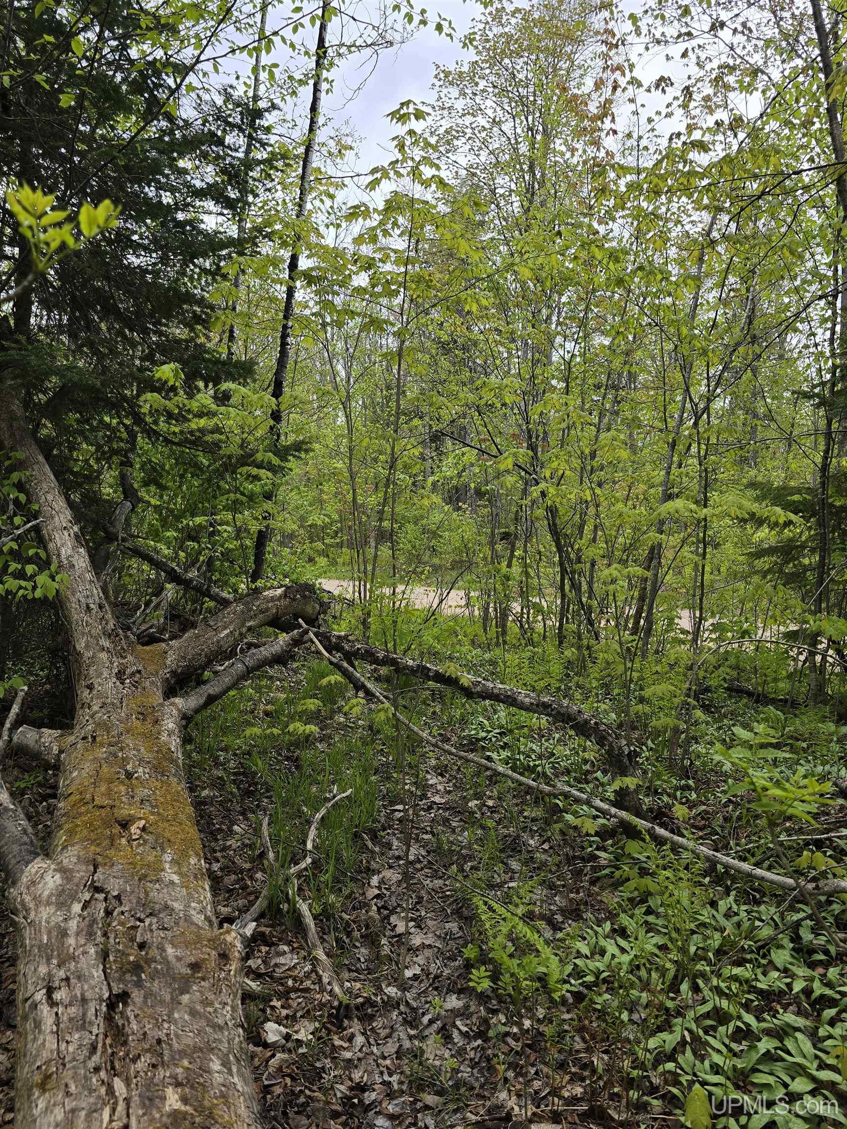 Lot 37 Yellow Road Pelkie, MI 49958 - Photo 33 of 34
