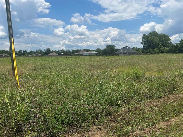 Lot 1 School House Road Alexandria, LA 71303 - Photo 3 of 5