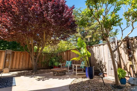 a view of backyard with deck and a large tree