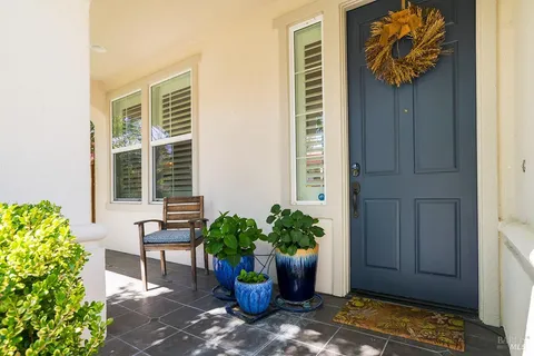 a potted plant sitting in front of a house