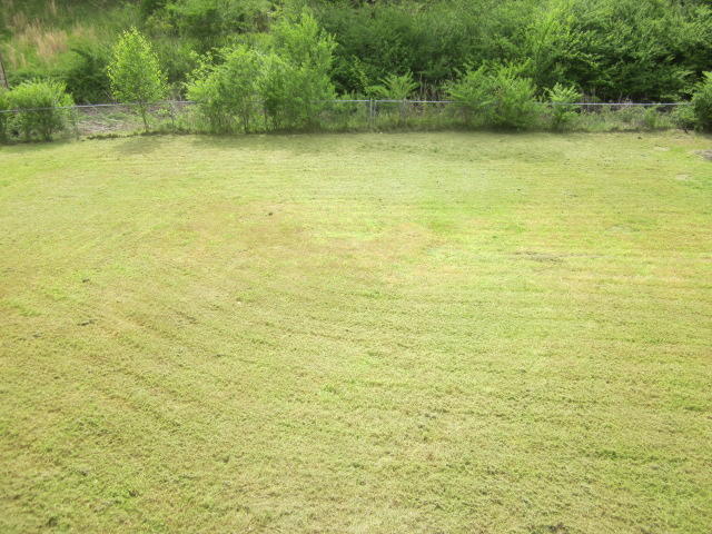 7542 Sims Road Harrison, TN 37341 - Photo 19 of 27 IMG_2298