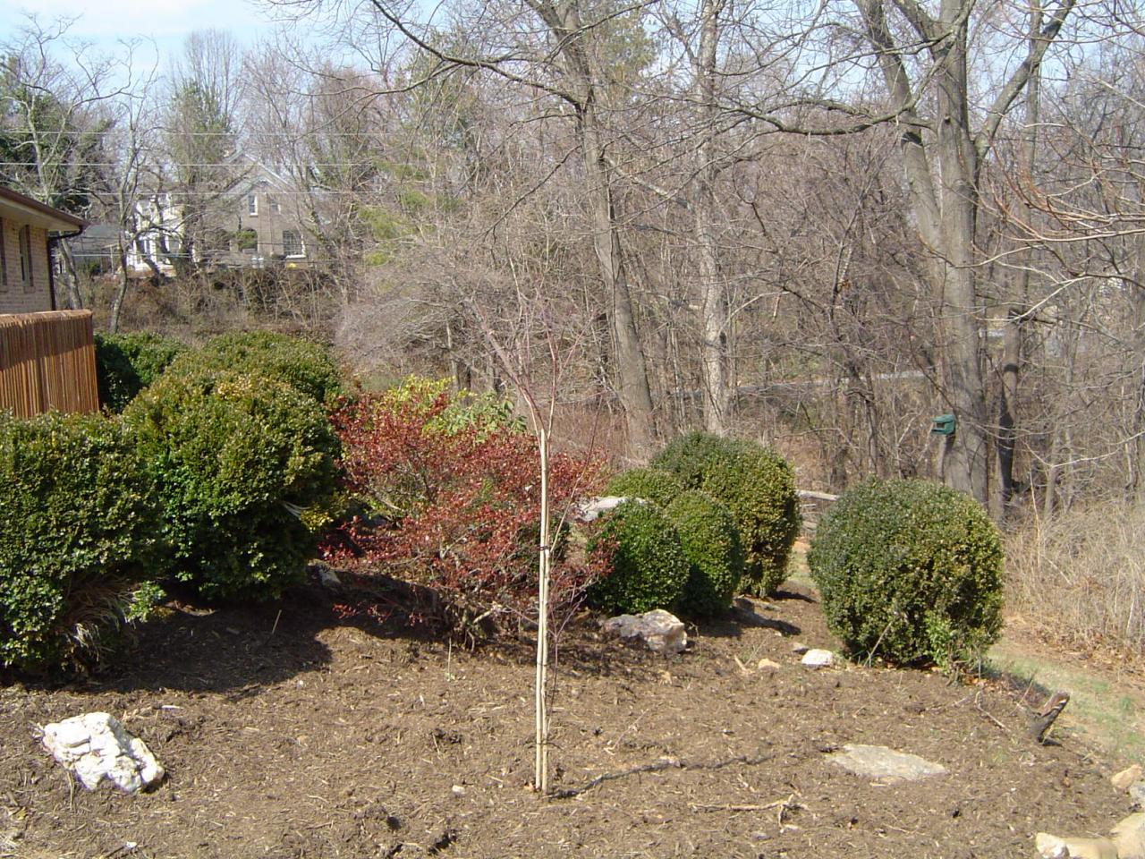 4649 Rosecrest Road Roanoke, VA 24018 - Photo 5 of 24 a backyard of a house with lots of green space