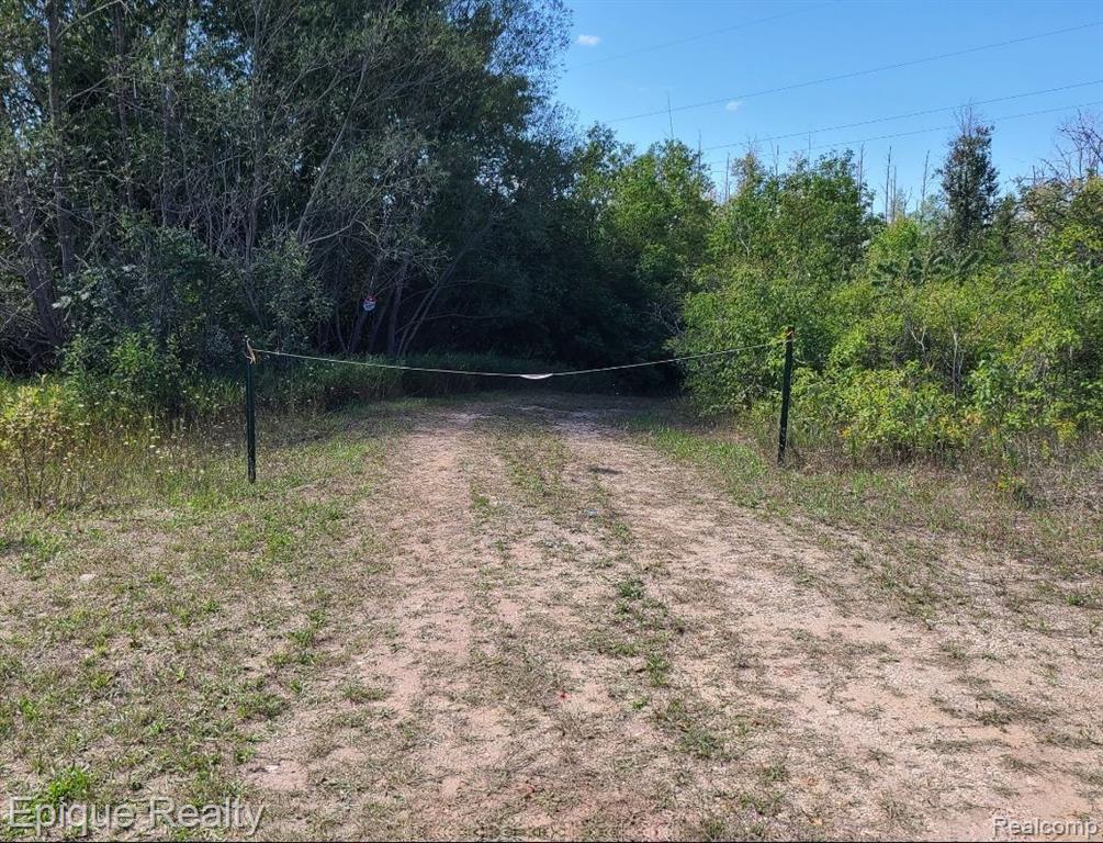 0 Hebron Mail Route Road Cheboygan, MI 49721 - Photo 15 of 16
