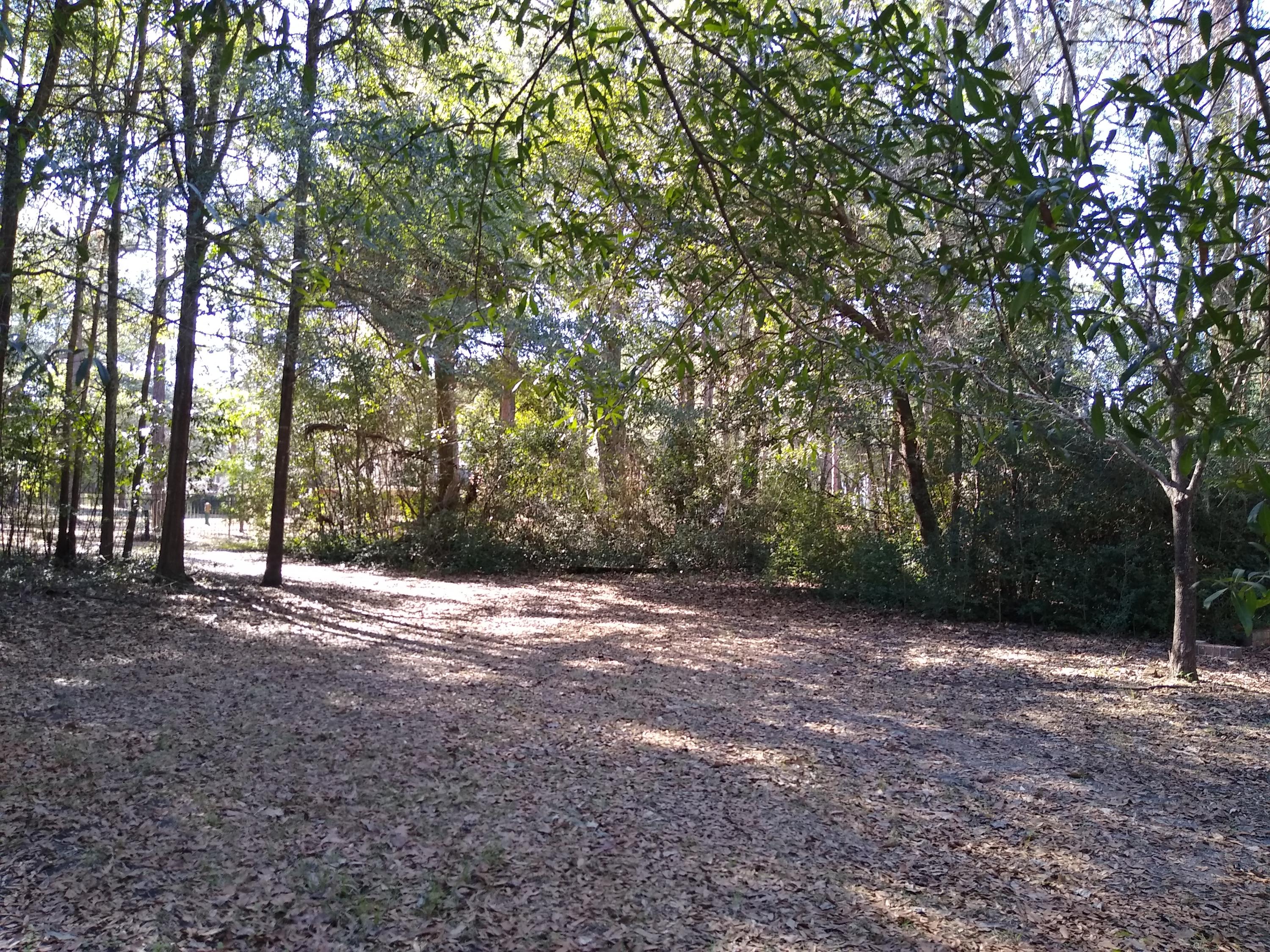 400 Willard Street Hampton, SC 29924 - Photo 8 of 25 IMG_20200202_142505539