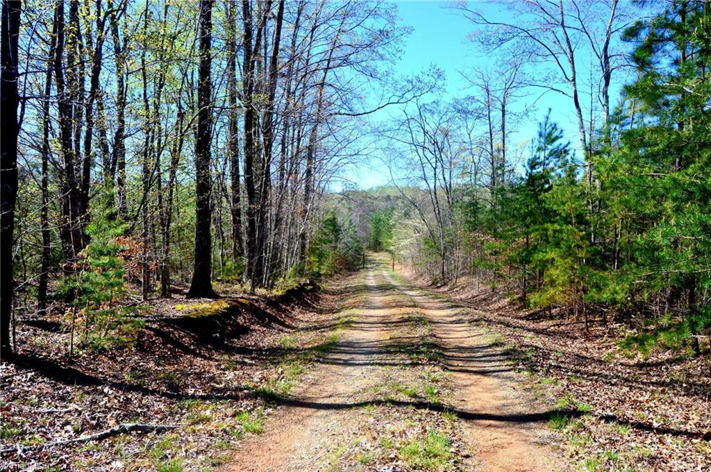 1323 Berrymore Road Reidsville, NC 27320 - Photo 23 of 30 Gallery Image 23