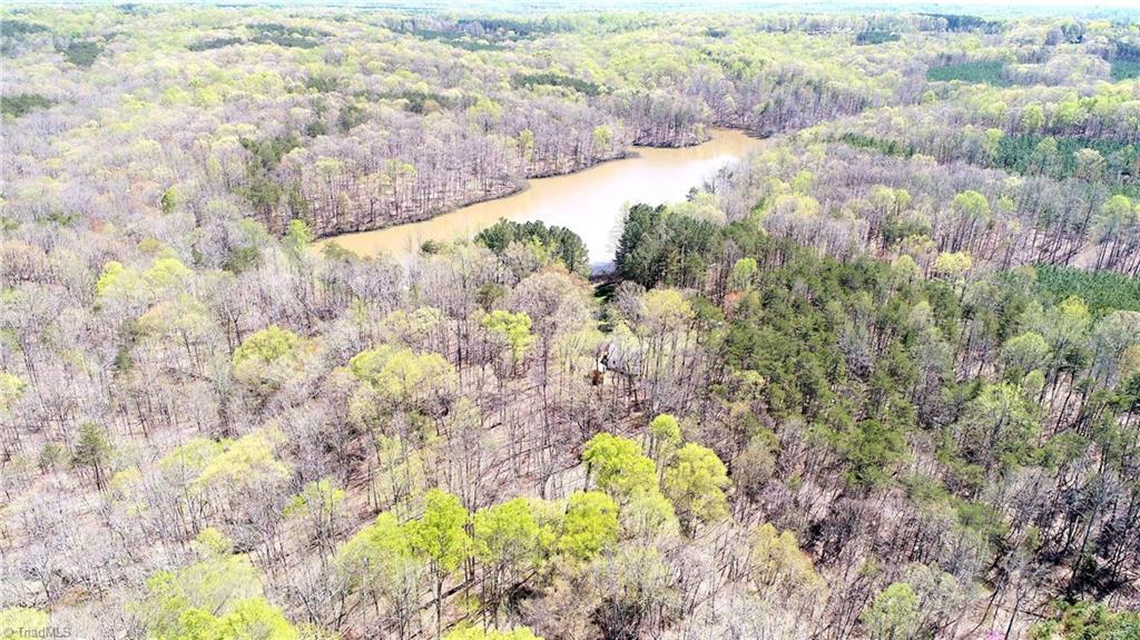1323 Berrymore Road Reidsville, NC 27320 - Photo 9 of 30 Gallery Image 9