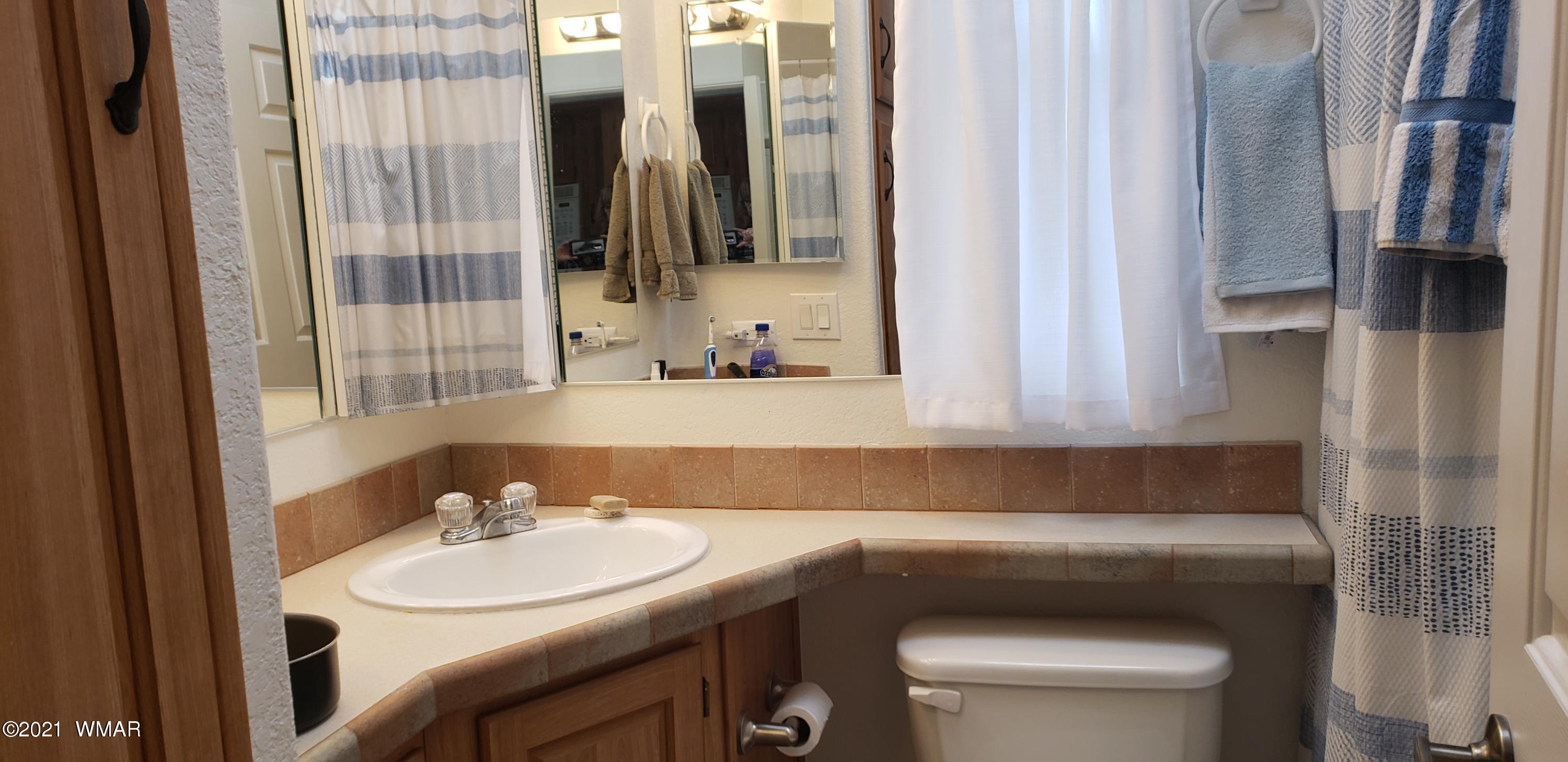 2265 Hanging Tree Lane Overgaard, AZ 85933 - Photo 6 of 15