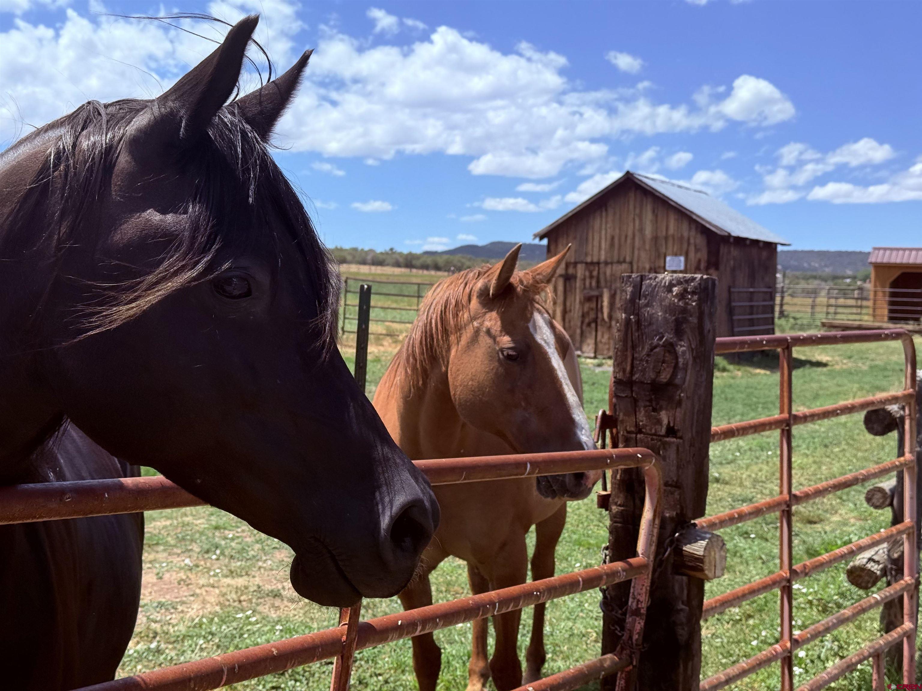 31807 B50 Road Crawford, CO 81415 - Photo 44 of 44