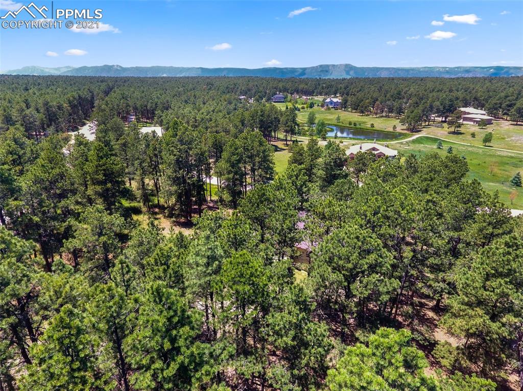 18525 Glenthorne Lane Monument, CO 80132 - Photo 47 of 50