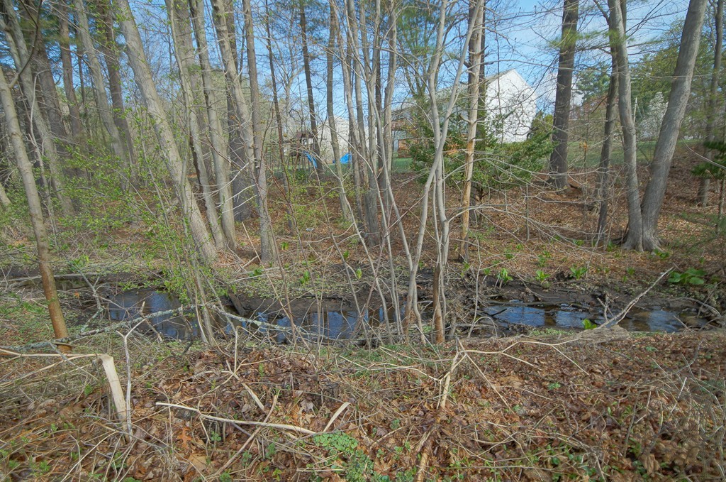 35 Anthony Road Tewksbury, MA 01876 - Photo 26 of 26 Gallery Image 26