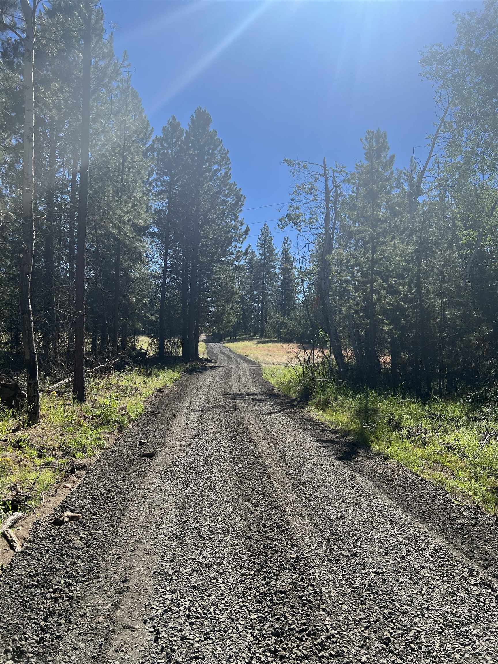 Nka North Hardesty Road Chattaroy, WA 99003 - Photo 9 of 14