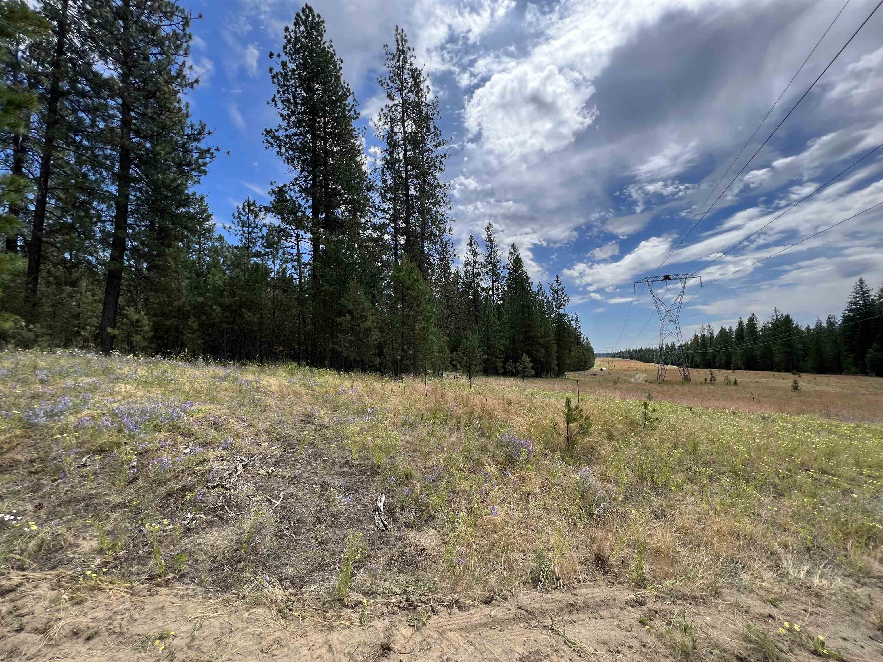 Nka North Hardesty Road Chattaroy, WA 99003 - Photo 10 of 14