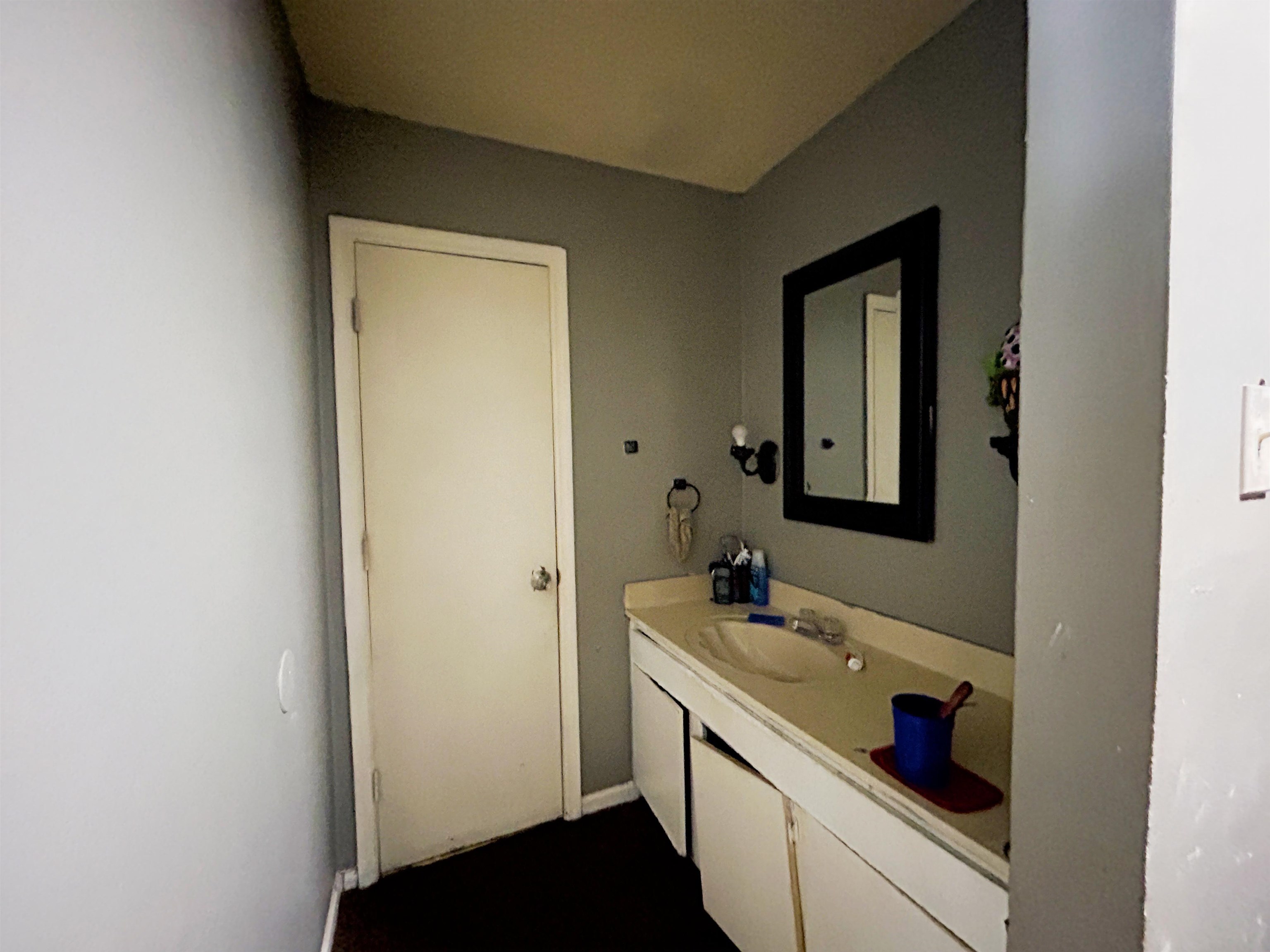 5237 Flowering Peach Drive Memphis, TN 38115 - Photo 11 of 15 a bathroom with a sink and a mirror