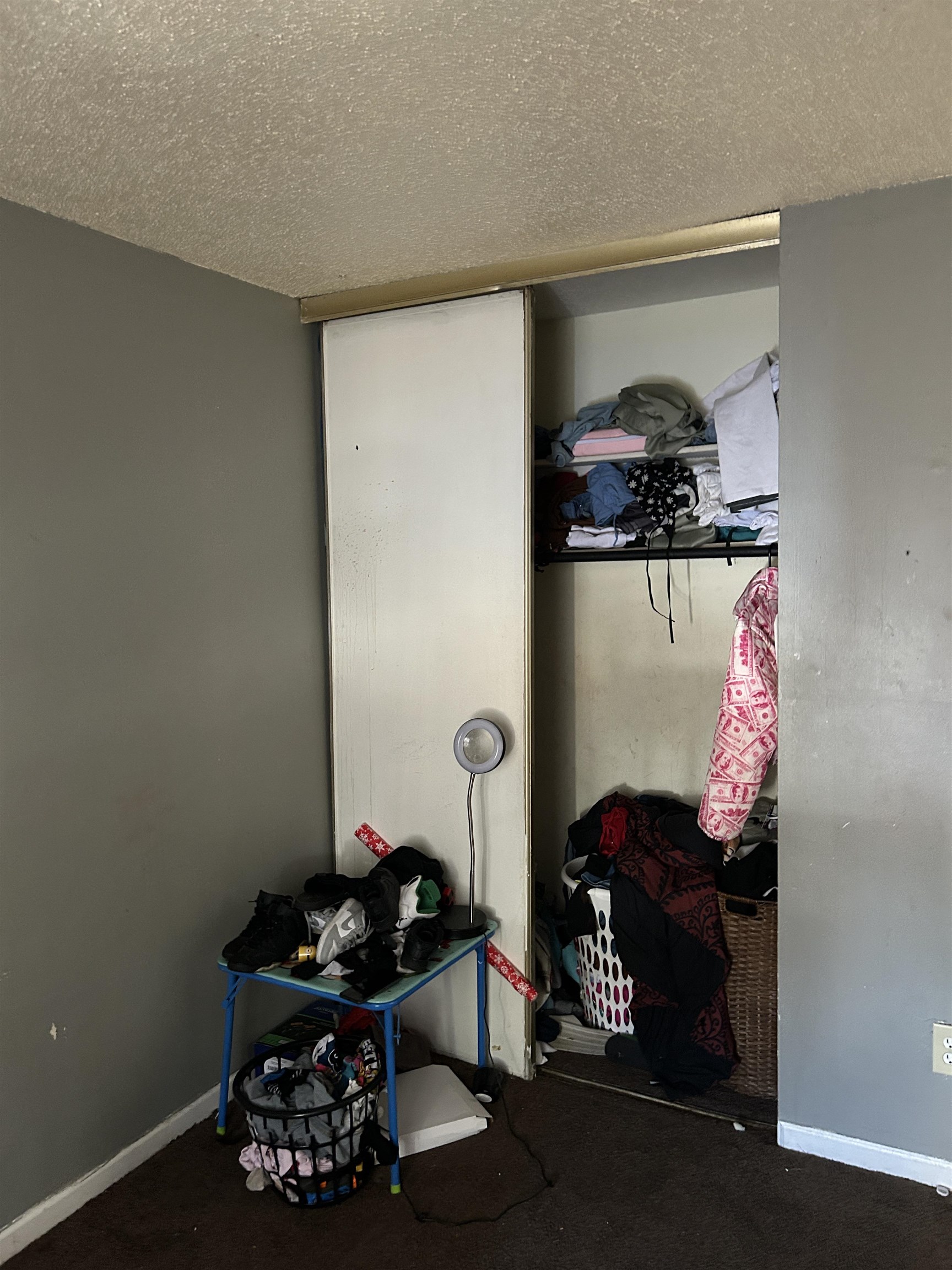 5237 Flowering Peach Drive Memphis, TN 38115 - Photo 13 of 15 View of closet
