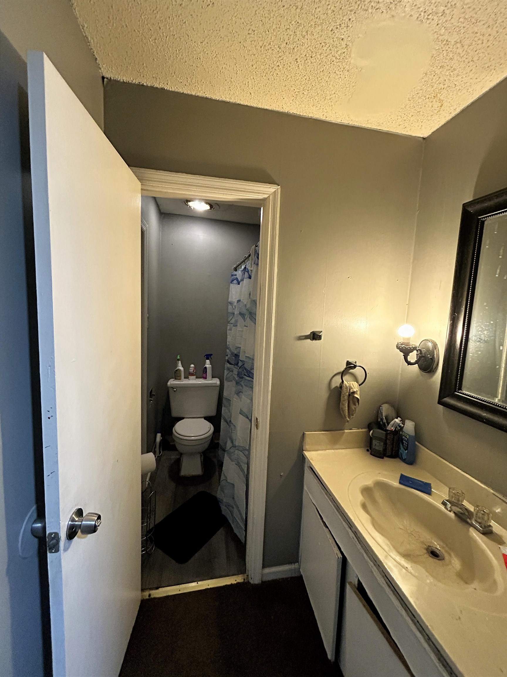 5237 Flowering Peach Drive Memphis, TN 38115 - Photo 9 of 15 a bathroom with a sink and mirror with toilet
